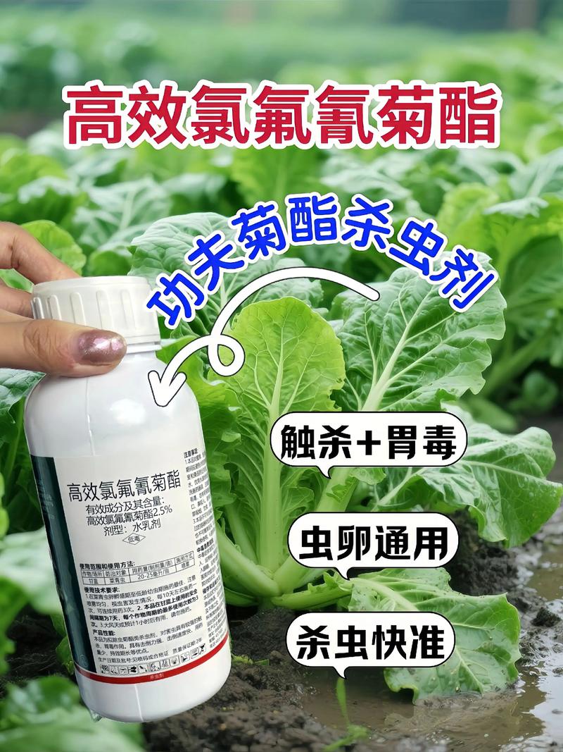 池州代生中心:农药对供卵代生妈妈的危害